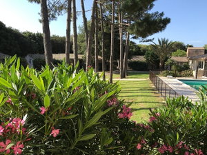 Hotel Prea Gianca cazare Bonifacio