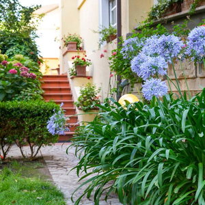 Sejur Calycanto Guest House vacanta Tempio Pausania