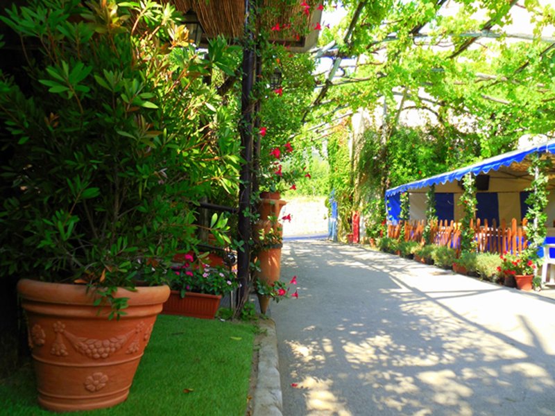Villaggio Turistico Fiori D'arancio