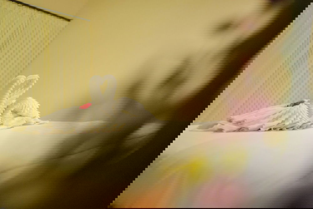 Hotel Wingsu Guest House