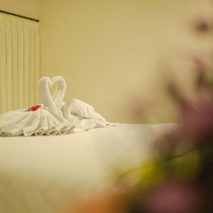 Hotel Wingsu Guest House cazare Canggu