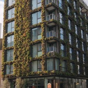 Sejur La Belle Ville vacanta Paris