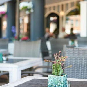 Hotel Hotel Restaurant De Jonge Heertjes cazare Aalsmeer