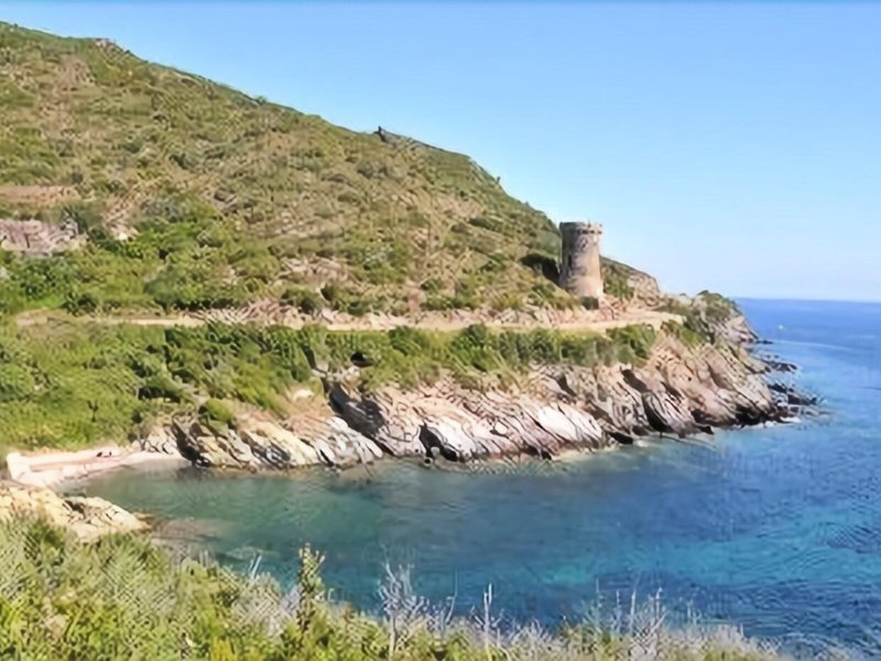 U Patriarcu