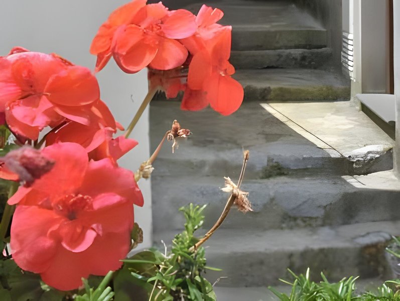 Casa Falcone B&B