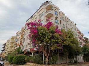 Hotel Golden Rose Hotel cazare Hurghada (regiunea)