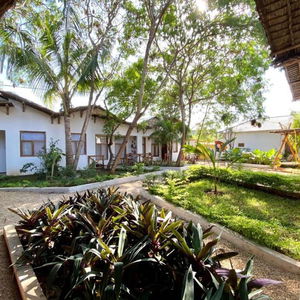 Hotel Babalao Bungalows cazare Nungwi