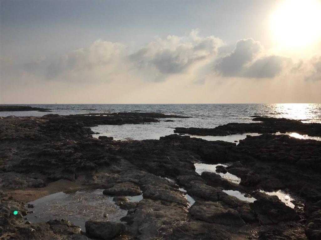 Hotel Ikaria Village , Apartment 202