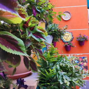 Hotel Hotel Le Caserie cazare Marsala