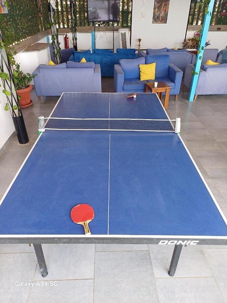 Palm Inn Hotel