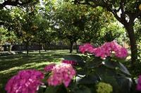 Hotel Casa Mariantonia