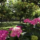 Hotel Casa Mariantonia cazare Anacapri
