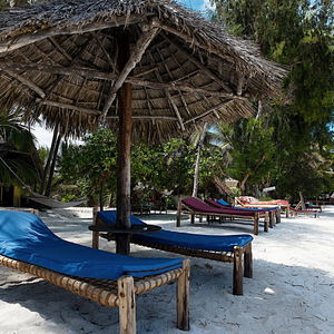 Sejur Evergreen Bungalows vacanta Bwejuu