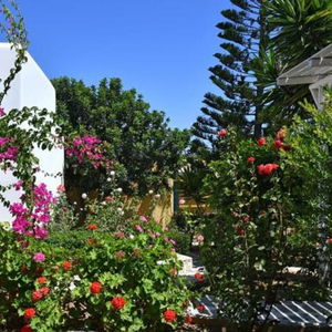 Hotel Surfing Beach Paros cazare Santa Maria
