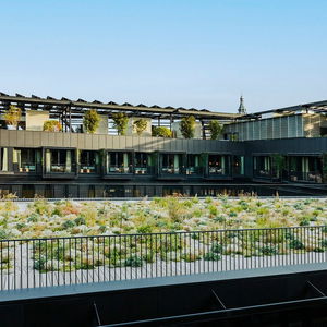 Hotel Hôtel Madame Rêve cazare Paris