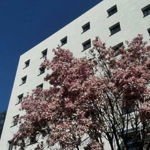 Hotel Acca Sporting Milano cazare Quebec