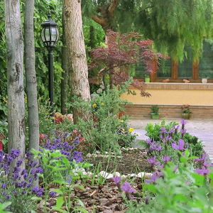 Sejur B&B A Casa Di Titty vacanta Fiumicino