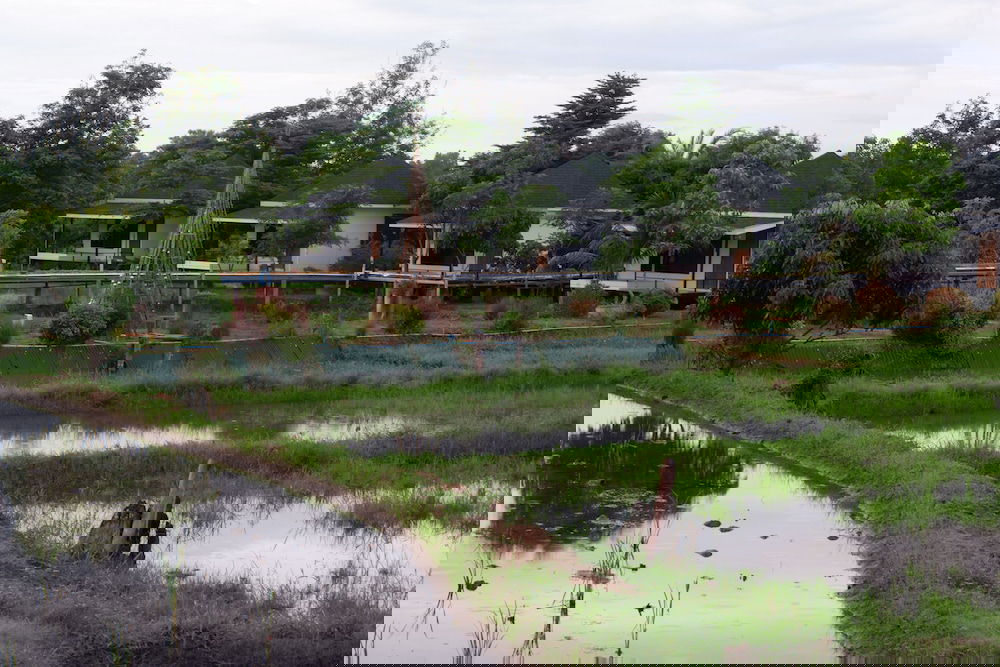 Hotel Nok Chan Mee Na