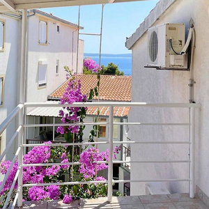 Hotel Papic cazare Okrug Gornji