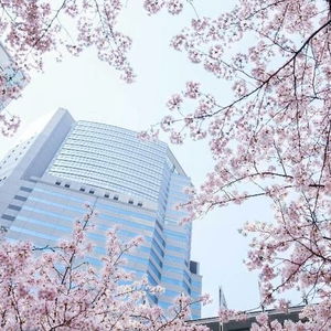 Hotel The Strings By Intercontinental Tokyo cazare Tokyo