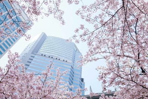 Hotel The Strings By Intercontinental Tokyo cazare Tokyo