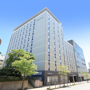 Hotel Richmond Hotel Narita cazare Narita