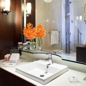 Hotel Holiday Inn Singapore Orchard City Centre, An Ihg Hotel cazare Singapore