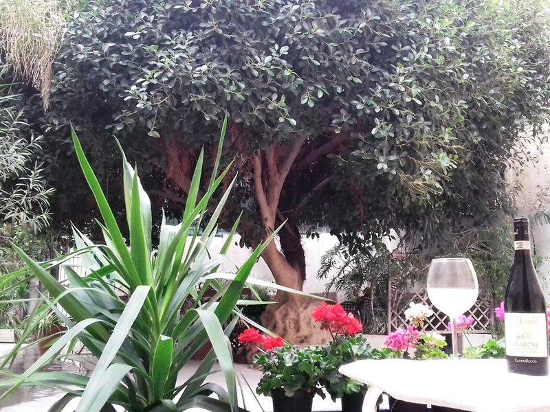 Residence Ortigia