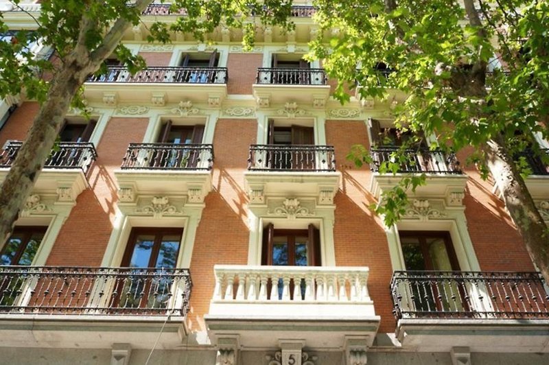 Hotel Petit Palace Lealtad