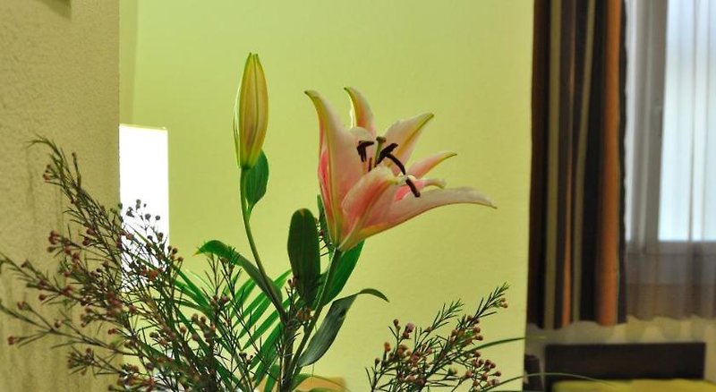 Hotel Hostal Ballesta