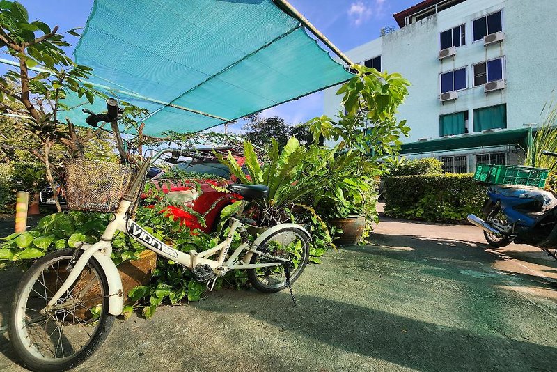 Green Apartment
