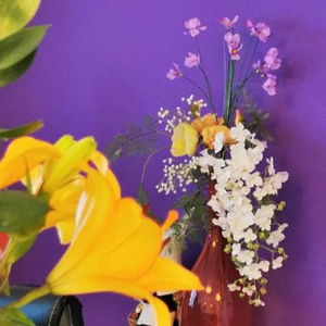 Hotel Chasse Hotel cazare Amsterdam