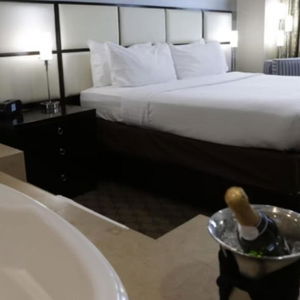 Hotel Holiday Inn Plainview-Long Island cazare Plainview