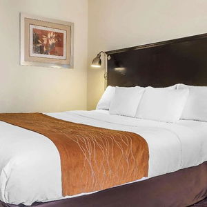 Hotel Comfort Inn & Suites Laguardia Airport cazare Maspeth