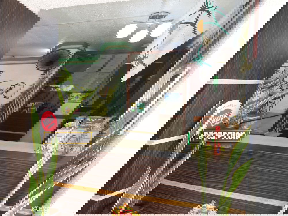 Hotel Turtle Inn Resort