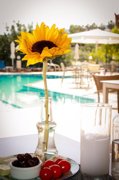 Hotel Villa Vicky Hersonissos