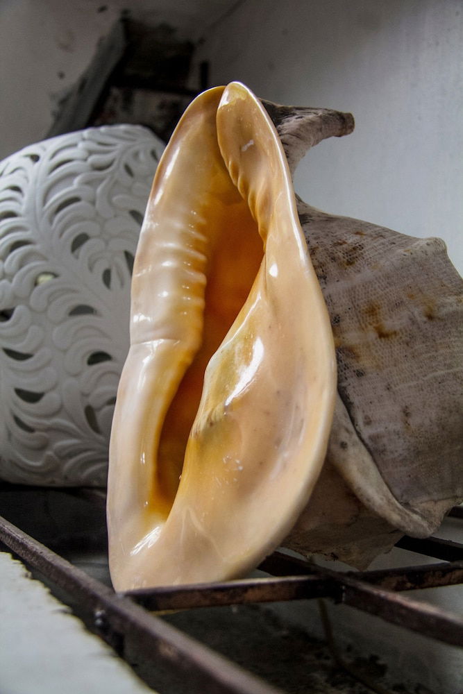 Hotel Boracay Ocean Bay Hotel