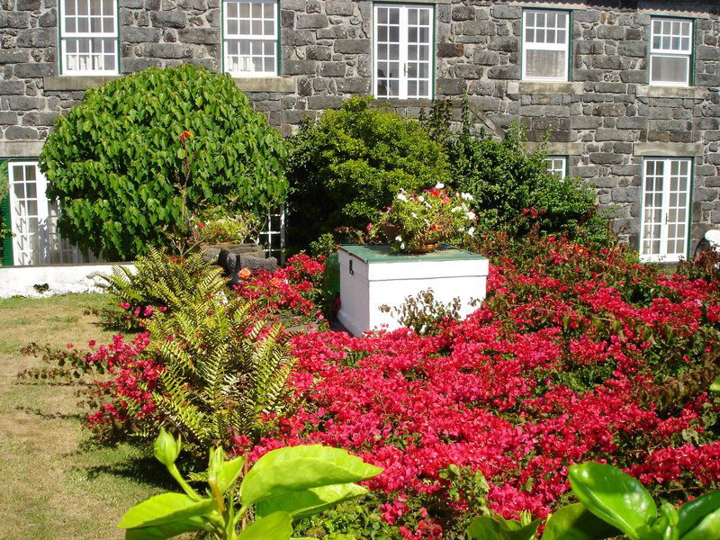 Hotel Quinta Das Buganvilias