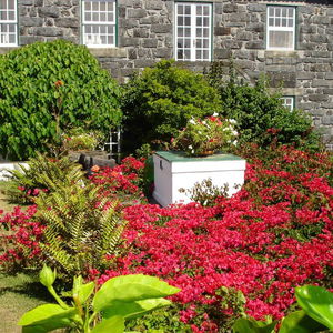 Hotel Quinta Das Buganvilias cazare Castelo Branco
