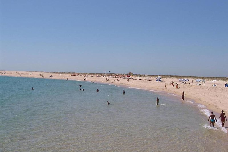 Faro