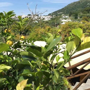 Hotel Relais Villa Anna cazare Anacapri