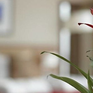 Sejur The Crown London Hotel vacanta Londra