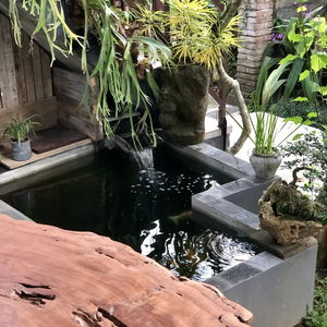 Sejur The Hidden Bali Inn vacanta Ubud