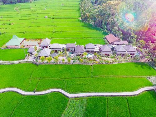 Hotel Villa Jj And Spa Ubud