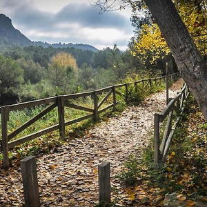 Hotel La Maga Rooms cazare Xativa