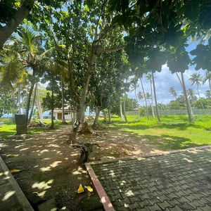 Sejur Smeralda Beach Resort vacanta Sri Lanka