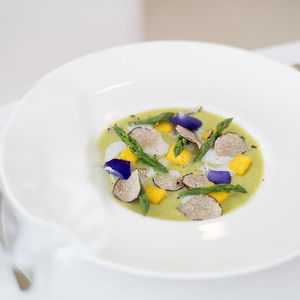 Hotel Balance Hotel cazare Milano Marittima