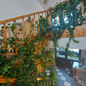 Hotel Pensiunea Keisd cazare Saschiz