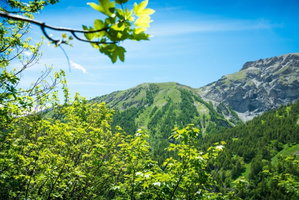 Hotel Il Rododendro cazare Bardonecchia