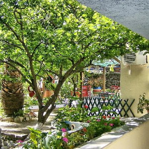 Hotel Villa Rena cazare Andros